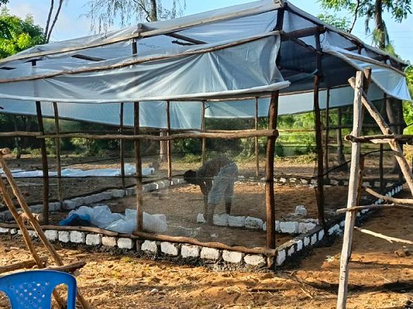 The timber and tarpaulin structure it replaced, Watamu